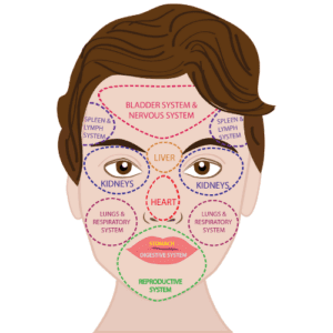 Facial mapping