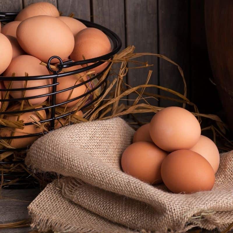 macrobiotic diet eggs