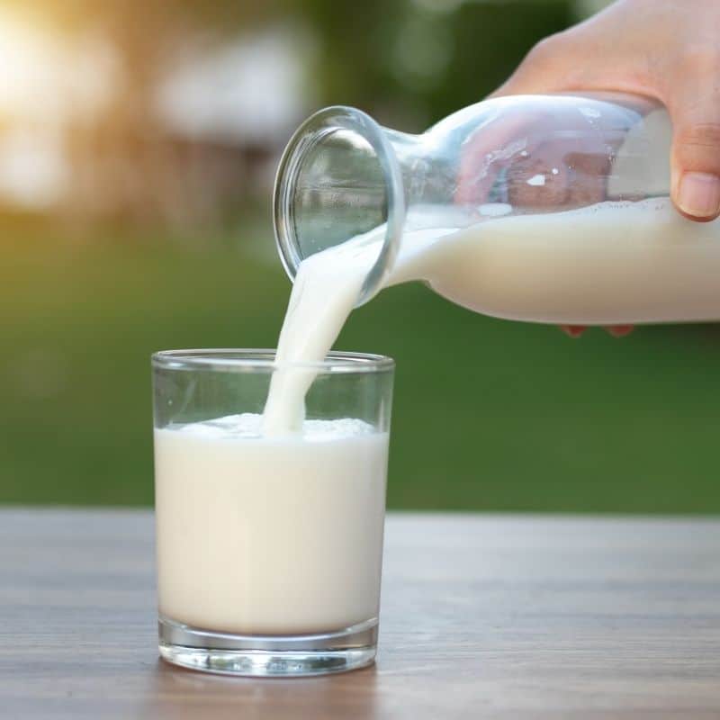 Does milk really cause osteoporosis